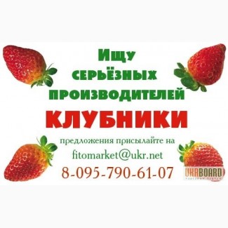 Куплю клубнику оптом.