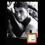 Dsquared2 He Wood туалетная вода 100 ml. (Дискваред 2 Хи Вуд)