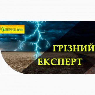 Продам Посев. мат. устойчив к 7 рас. с применением 50 гр ганстар