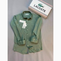 Рубашка Lacoste опт