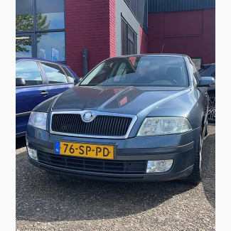 2006 Skoda Octavia A5 Доставка в любой город Украины