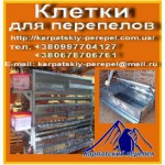 Клетки для перепелов