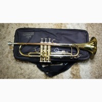 Труба Roy Benson TR 202 золото у твердому чохлі Trumpet