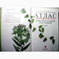 Популярный атлас-определитель 2006 ПРОДАНО Дикорастущие растения Споровые Голосеменные