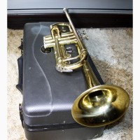 Труба Roy Benson TR-101 золото у твердому чохлі Trumpet