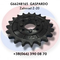 Зубчасте колесо Z-20 G66248165 Gaspardo