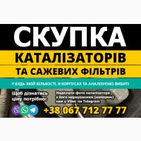 Скупка каталізаторів та сажових фільтрів з авто