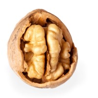 Продам чищеный грецкий орех все фракции | Selling peeled walnut of all fractions