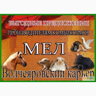 Мел обогащенный кальцием для животных