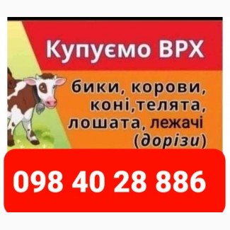 Закупівля врх