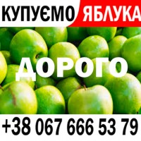 Куплю яблоко на сік Цена 8.3 плюс //// Тел. на фото ////// Ціна 8.3 грн від ПДВ нал, б н