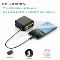 Аккумулятор Probty NP-F980 (NP-F970, NP-F960) 8800 mAh с функцией Powerbank и USB 5V