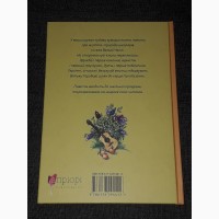 В. Чемерис - Вітька + Галя або повість про перше кохання. 2018 рік (тираж 1 000)