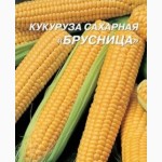 Продам семена кукурузы сахарной оптом и в розницу деликатная, брусница, сахарная, лакомка