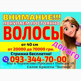 Покупка волос Чернигов.Продать волосы дорого в Чернигове