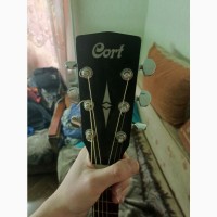 Cort ad 810