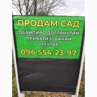 Продаж ділянка сільськогосподарського призначення Новгородківський, Новгородка, 7317 $