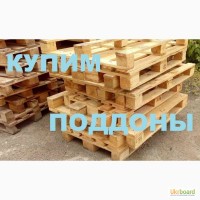 Куплю паллеты, поддоны, европоддоны б/у