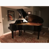 Yamaha C3 Grand Piano Черный Польский