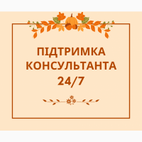 Трутовик березовий гриб (березова губка) 100 грам