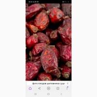 ЗАКУПАЕМ Сухие ягоды боярышника, шиповника, рябину