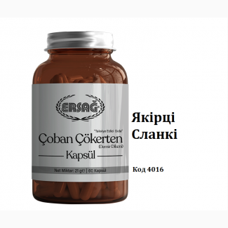 Ерсаг 4016 якірці сланкі, ШКТ, тромбоз, камені в нирках, безпліддя лібідо потенція сон