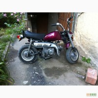 Продам мото honda monkey