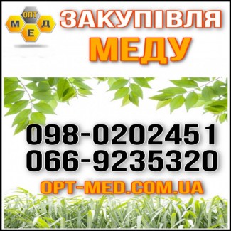 OPT-MED Купим мед по центральным обл (подсолнух)