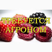 Tребуется Агроном на сельхозпредприятие