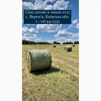 СІНО (Сено) лугове в тюках від Виробника