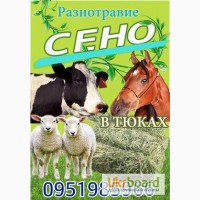 Бесплатная доставка сена в тюках по Украине. Люцерна, луговое, солома