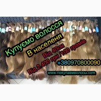 Продать волосы в Кировограде Кропивницкий Скупка волос Купим волосы дорого