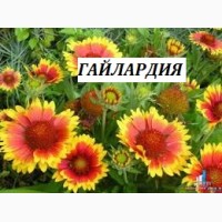 Многолетние цветы для Вашего сада весна 2018