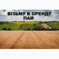 Возьму в аренду Пай или ОСГ (2, 0 га) граничащий с с. Комишанка, Недригайловского р-на