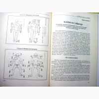 Момот Анатомия жизни и смерти Жизненно важные точки на теле человека 2005 ПРОДАНА