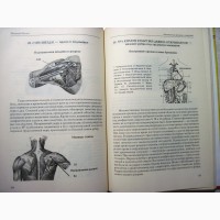 Момот Анатомия жизни и смерти Жизненно важные точки на теле человека 2005 ПРОДАНА