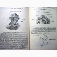 Момот Анатомия жизни и смерти Жизненно важные точки на теле человека 2005 ПРОДАНА