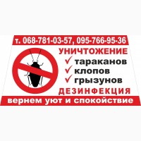 Уничтожение тараканов, клопов, блох, грызунов в Днепре