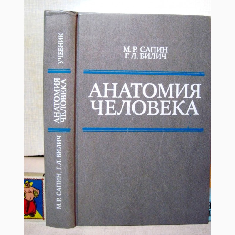 Анатомия учебник для вузов. Анатомия человека Сапин Билич 1989. М Р Сапин г л Билич анатомия человека. Сапин Билич анатомия человека том 3. Борзяк Сапин анатомия человека.