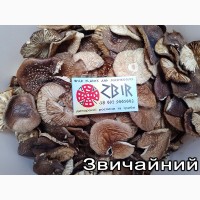 Мухомор ПАНТЕРНИЙ (Amanita Pantherina), сушені КАПЕЛЮШКИ, сезон 2023