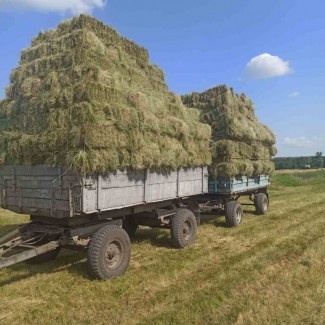 Сіно затюковане