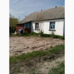 Продам дом 40с.Житомирская трасса Радомышльський р-н с.Малая Рача