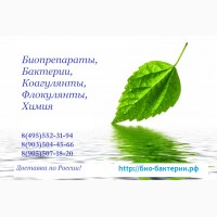 Биопрепараты Bioremove, Bi-chem, Bacti-Bio для очистки сточных вод