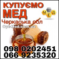 Оптовая закупка меда (подсолнух)