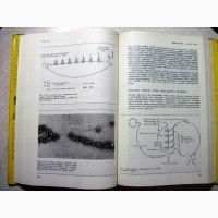 Уотсон Молекулярная биология гена 1978 Наследственность Вирусная теория рака Генетическая