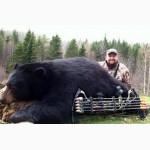 Продам лук Hoyt, PSE, Bear