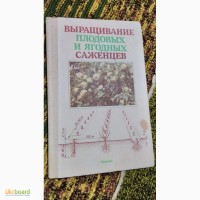 Выращивание плодовых и ягодных саженцев В.Майдебура