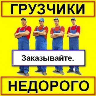 Услуги грузчиков не дорого