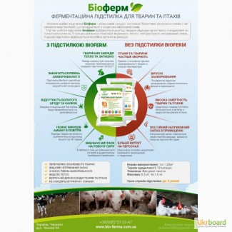 Революция в сельском хозяйстве - ферментационная подстилка Биоферм для животных птиц