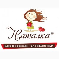 Продам саженцы ягодных культур: клубники, малины, голубики и другие